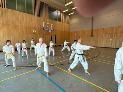 Karate Seminar 2023 in Deutschland_9